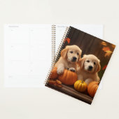 Golden Retriever Puppy Automne Citrouille de plais (Devant avec enveloppe)