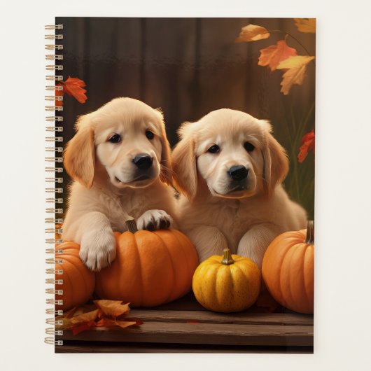 Golden Retriever Puppy Automne Citrouille de plais (Devant)