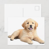 Golden Retriever Puppy Briefkaart (Voorkant / Achterkant)