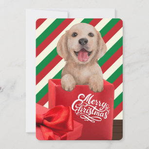 Golden Retriever Puppy Cadeau Doos Rood Groen Stre Feestdagenkaart