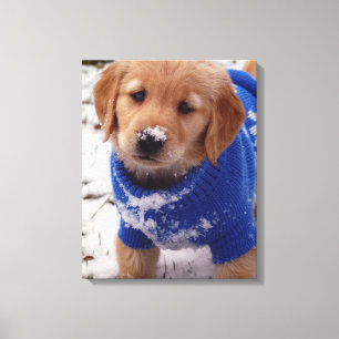 Golden Retriever Puppy Canvas Afdruk