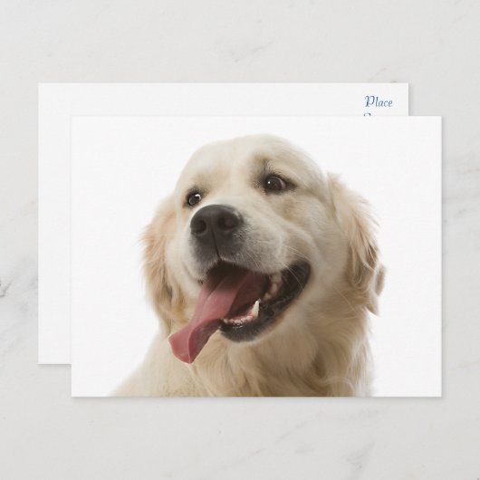 Golden Retriever Puppy Dog Blank Briefkaart (Voorkant / Achterkant)