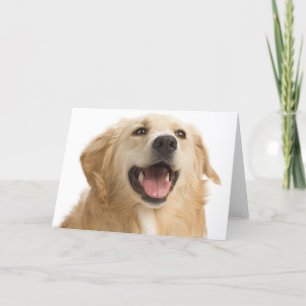 Golden Retriever Puppy Dog Blank Greeting Notecard Kaart