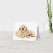 Golden Retriever Puppy Dog Blank Note Kaart (Voorkant)