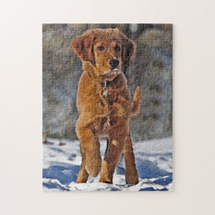 Golden Retriever Puppy Dog in de sneeuw Legpuzzel