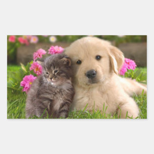 Golden Retriever Puppy Dog & Kitten Sticker