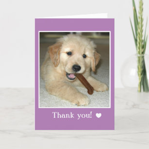 Golden Retriever Puppy Dog met bot Dank je Bedankkaart