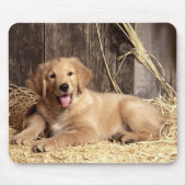 Golden Retriever Puppy Dog Rustic Barn Muismat (Voorkant)