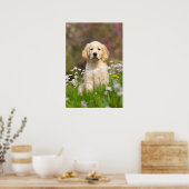 Golden Retriever puppy een schattige Goldie Poster (Keuken)