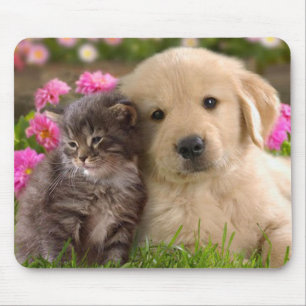 Golden Retriever Puppy en Kitten Muismat