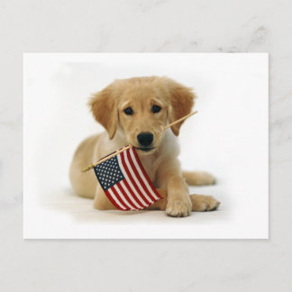 Golden Retriever Puppy en Vlag Briefkaart