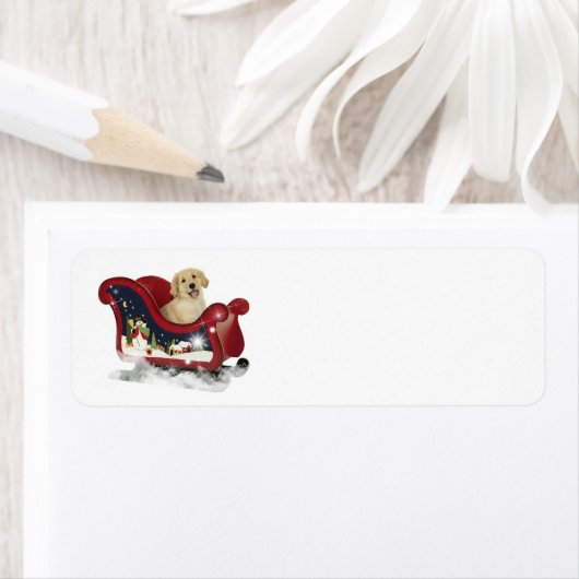 Golden Retriever Puppy Etiket (Insitu)