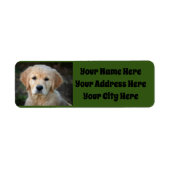 Golden Retriever Puppy Etiket (Voorkant)