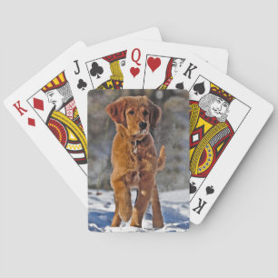 Golden Retriever Puppy in de sneeuw Pokerkaarten