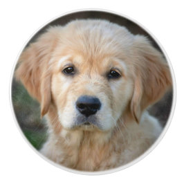 Golden Retriever Puppy Keramische Knop