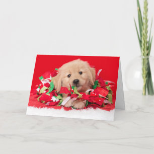 Golden Retriever Puppy kerstkaart Kaart