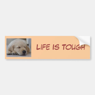 Golden Retriever Puppy Life is Toug Bumpersticker