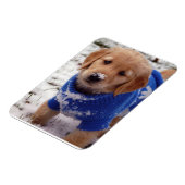Golden Retriever Puppy Magneet (Linkerzijde)