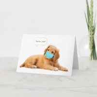 Golden Retriever puppy met gezichtsmasker