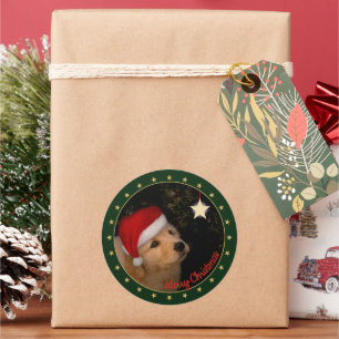 Golden Retriever Puppy met Santa Hat Sticker