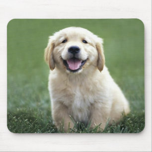 Golden Retriever Puppy Mousepad Muismat