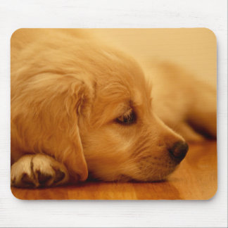 Golden Retriever Puppy Muismat