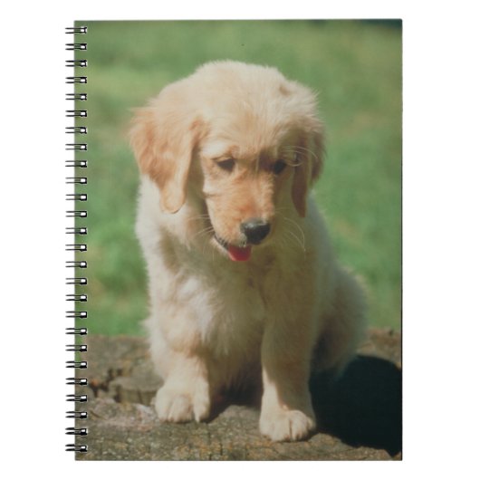 Golden Retriever Puppy notebook Notitieboek (Voorkant)