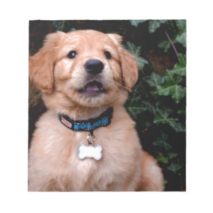 Golden Retriever Puppy Notitieblok