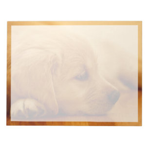 Golden Retriever Puppy Notitieblok