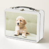 Golden Retriever Puppy op Couch (Voorkant)