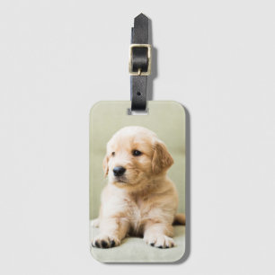 Golden Retriever Puppy op Couch Bagagelabel