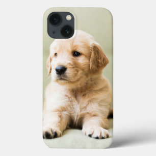 Golden Retriever Puppy op Couch iPhone 13 Hoesje