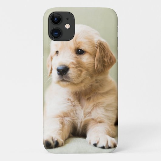 Golden Retriever Puppy op Couch Case-Mate iPhone Case (Achterkant)