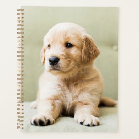 Golden Retriever Puppy op Couch Planner (Voorkant)