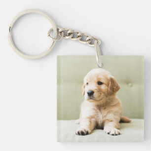 Golden Retriever Puppy op Couch Sleutelhanger