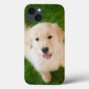 Golden Retriever Puppy op gras iPhone 13 Hoesje