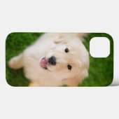 Golden Retriever Puppy op gras Case-Mate iPhone Case (Achterkant (horizontaal))