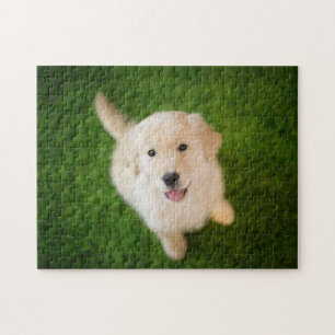 Golden Retriever Puppy op Grass Legpuzzel