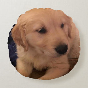 Golden Retriever Puppy Pillow Rond Kussen