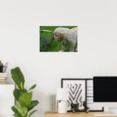 Golden Retriever Puppy Poster (Thuiskantoor)