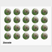 Golden Retriever Puppy Ronde Sticker (Vel)