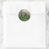 Golden Retriever Puppy Ronde Sticker (Tas)