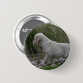 Golden Retriever Puppy Standing Ronde Button 5,7 Cm (Voorkant /achterkant)