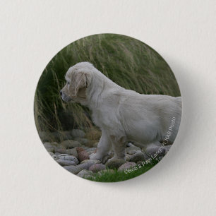 Golden Retriever Puppy Standing Ronde Button 5,7 Cm