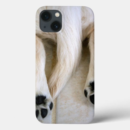 Golden Retriever Puppy Toes Case-Mate iPhone Case (Achterkant)