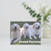 Golden Retriever Puppy with Proud Parents Briefkaart (Staand voorkant)