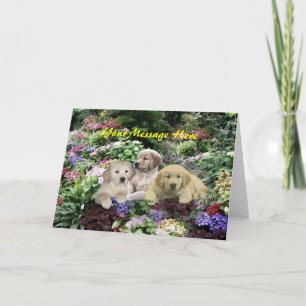 Golden Retriever Pups dans la carte de voeux de ja