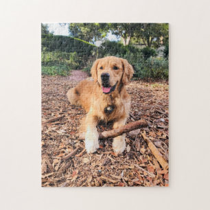 Golden Retriever Puzzle Legpuzzel