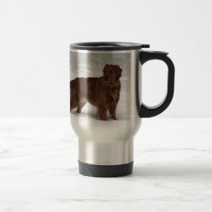 Golden Retriever Reisbeker
