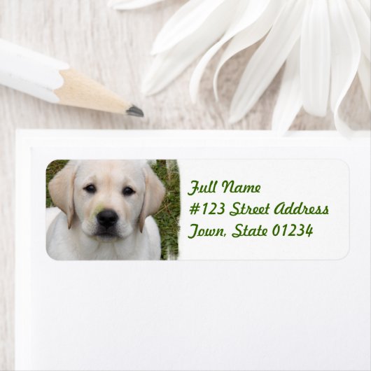 Golden Retriever Return Address Label (Insitu)